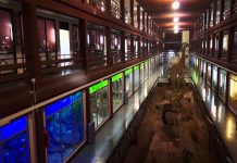 Visita el museo de ciencias naturales el Carmen de Onda
