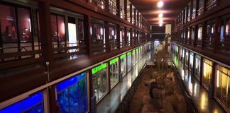 Visita el museo de ciencias naturales el Carmen de Onda